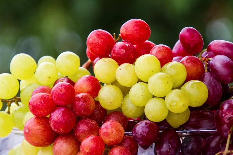 Fresh Fare